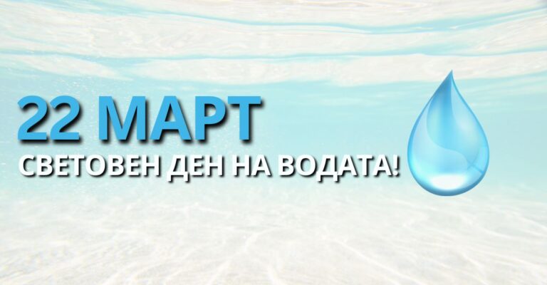 Cap Statiq